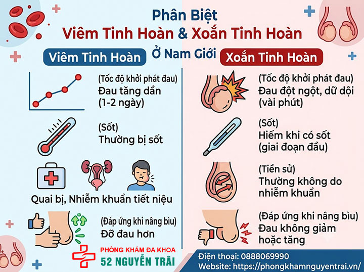 Dấu Hiệu, Triệu Chứng Viêm Tinh Hoàn Cần Biết Sớm 5 Triệu Chứng Viêm Tinh Hoàn Ở Nam Giới Cần Phân Biệt Với Xoắn Tinh Hoàn
