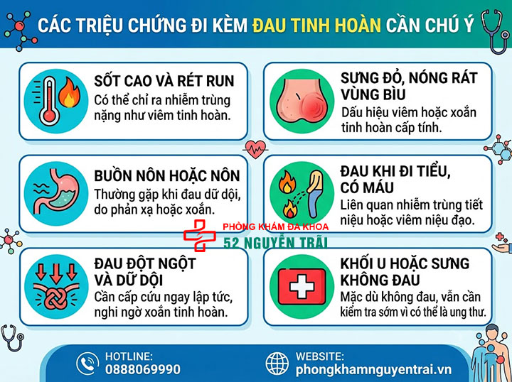 Triệu Chứng Đau Tinh Hoàn: Dấu Hiệu Cần Biết 3 Triệu chứng đau tinh hoàn đi kèm cần chú ý