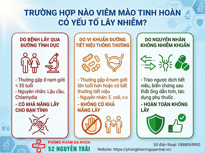 Viêm Mào Tinh Hoàn Có Lây Không? Có Quan Hệ Được? 3 Trường Hợp Nào Viêm Mào Tinh Hoàn Có Yếu Tố Lây Nhiễm?