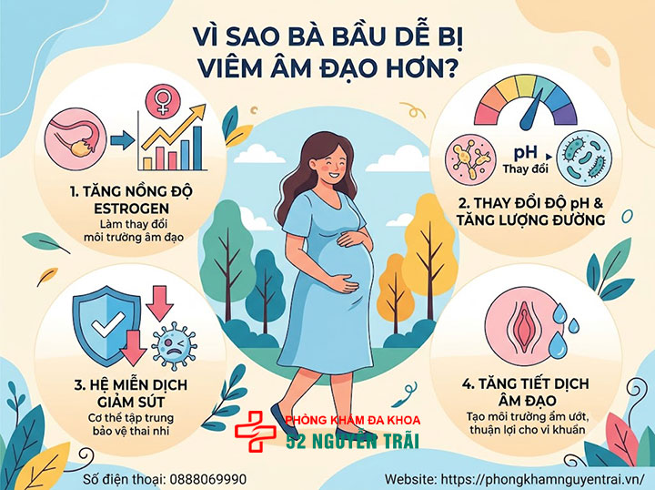 Viêm Âm Đạo Khi Mang Thai: Nguy Hiểm Không, Chữa Sao? 1 Vì sao bà bầu dễ bị viêm âm đạo hơn?