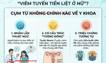 Vì sao nhiều người vẫn tìm kiếm "viêm tuyến tiền liệt ở nữ"