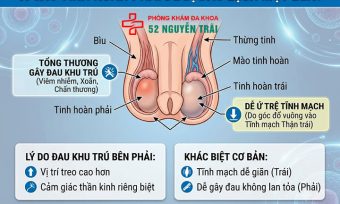 Đau Tinh Hoàn Bên Phải: Nguyên Nhân & Cách Điều Trị