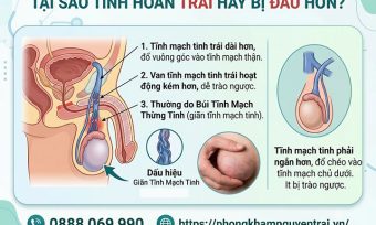 Vì sao tinh hoàn trái hay bị đau hơn?