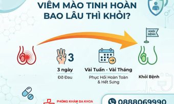Viêm Mào Tinh Hoàn Bao Lâu Thì Khỏi? Thời Gian Điều Trị