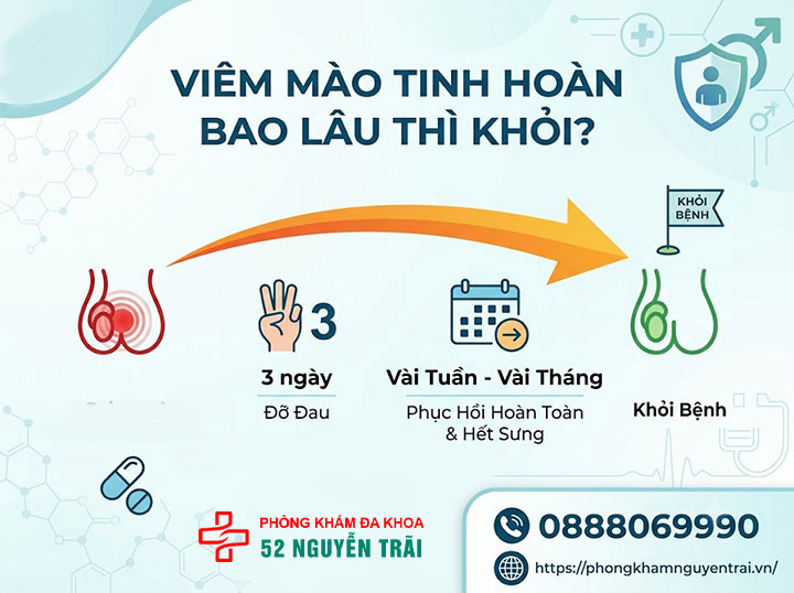 Viêm Mào Tinh Hoàn Bao Lâu Thì Khỏi? Thời Gian Điều Trị 1 Viêm Mào Tinh Hoàn Bao Lâu Thì Khỏi?