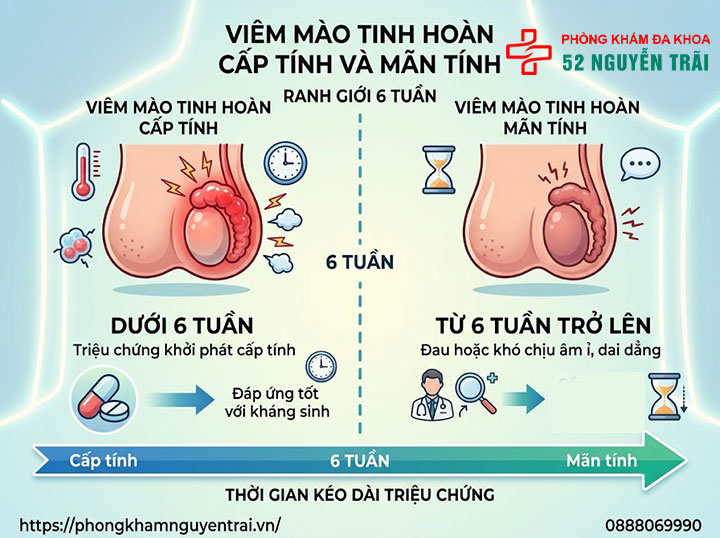 Viêm Mào Tinh Hoàn Bao Lâu Thì Khỏi? Thời Gian Điều Trị 2 Viêm Mào Tinh Hoàn Cấp Tính Và Mãn Tính – Ranh Giới 6 Tuần