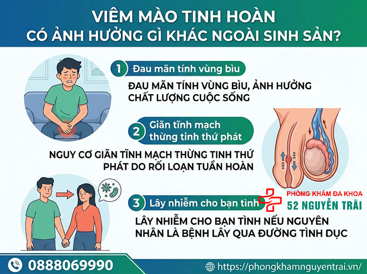 Viêm Mào Tinh Hoàn Có Nguy Hiểm Không? Biến Chứng Gì? 5 Viêm Mào Tinh Hoàn Có Ảnh Hưởng Gì Khác Ngoài Sinh Sản?