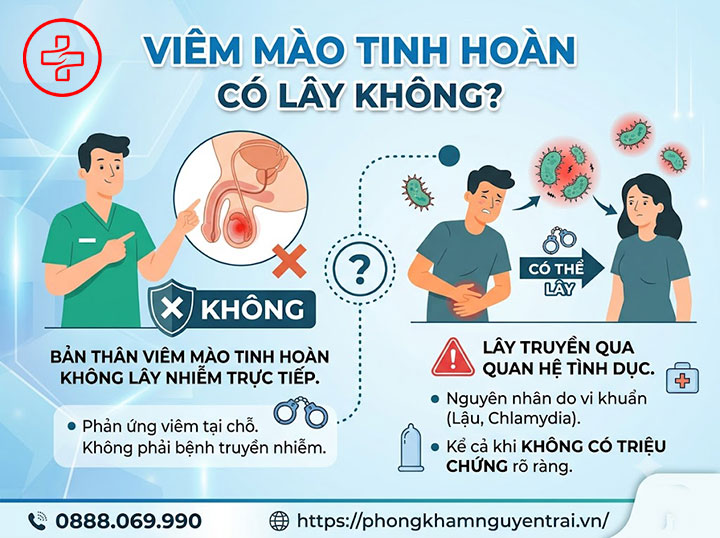 Viêm Mào Tinh Hoàn Có Lây Không? Có Quan Hệ Được? 1 Viêm Mào Tinh Hoàn Có Lây Không?