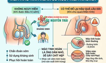 Viêm Mào Tinh Hoàn Có Nguy Hiểm Không? Biến Chứng Gì?