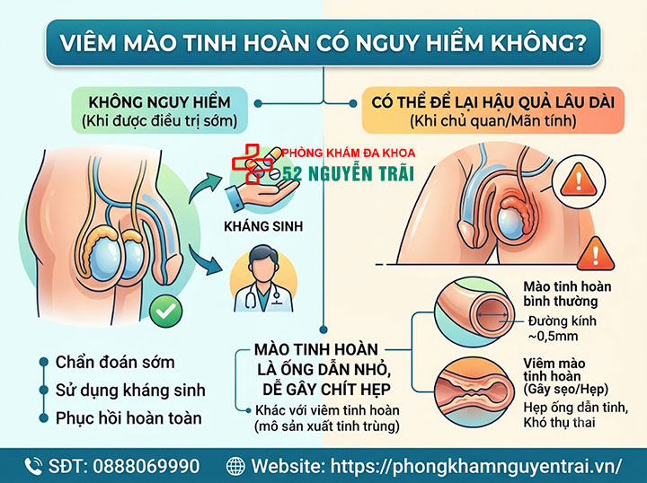 Viêm Mào Tinh Hoàn Có Nguy Hiểm Không? Biến Chứng Gì? 1 Viêm Mào Tinh Hoàn Có Nguy Hiểm Không?