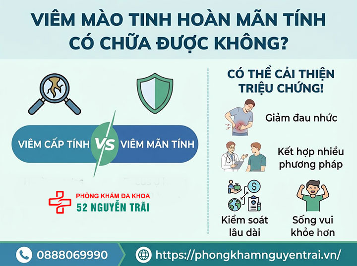 Viêm Mào Tinh Hoàn Mãn Tính Có Chữa Được Không? 4 Viêm Mào Tinh Hoàn Mãn Tính Có Chữa Được Không?