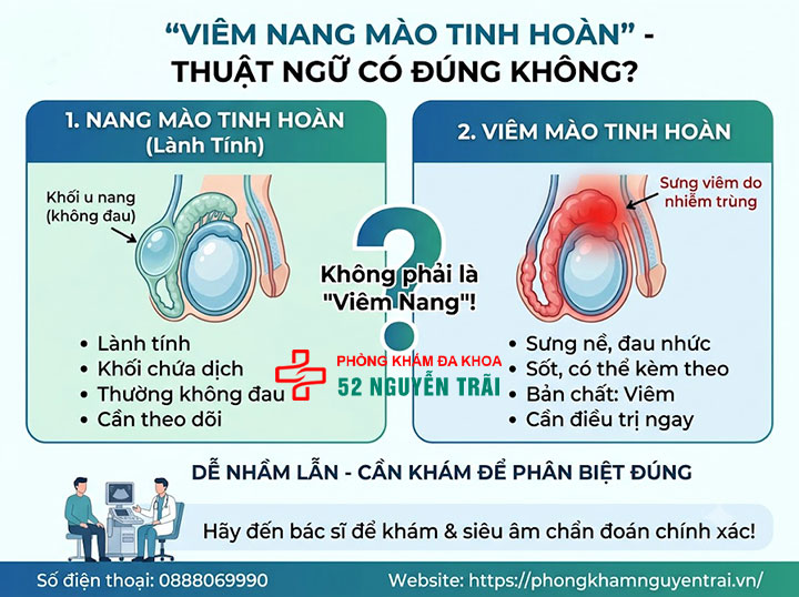 Triệu Chứng Viêm Mào Tinh Hoàn Trái, Phải Cần Biết 8 "Viêm Nang Mào Tinh Hoàn" – Thuật Ngữ Này Có Đúng Không?