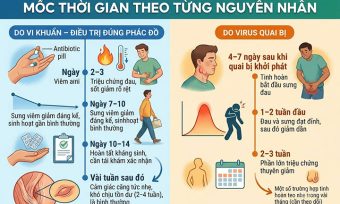Viêm Tinh Hoàn Bao Lâu Thì Khỏi?