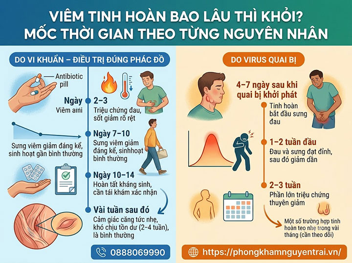 Viêm Tinh Hoàn Bao Lâu Thì Khỏi? Có Tự Khỏi Không? 2 Viêm Tinh Hoàn Bao Lâu Thì Khỏi?