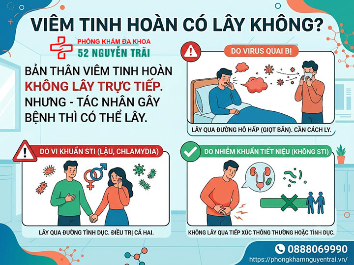 Viêm Tinh Hoàn Nên Ăn Gì, Kiêng Gì? Có Quan Hệ Được? 5 Viêm Tinh Hoàn Có Lây Không?