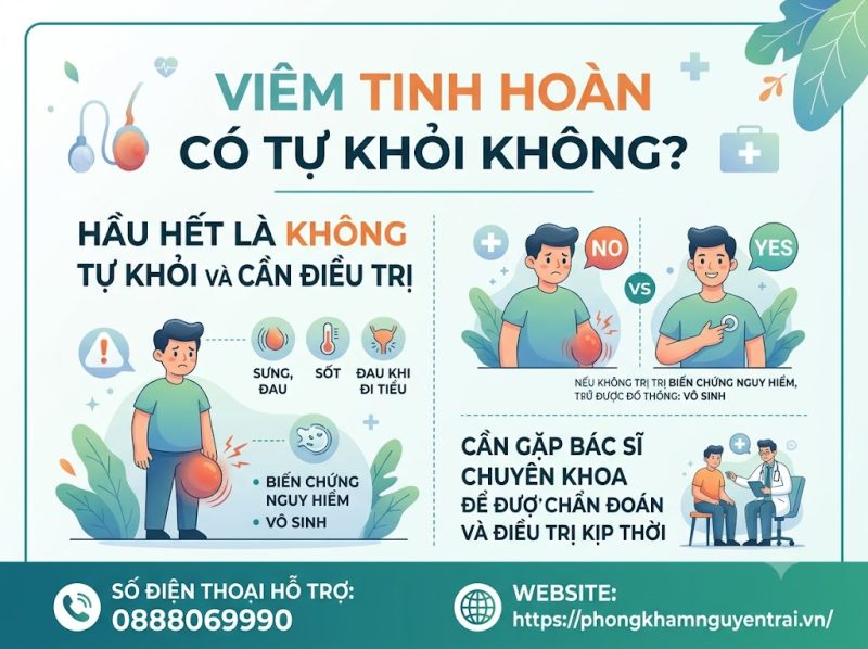 Viêm Tinh Hoàn Bao Lâu Thì Khỏi? Có Tự Khỏi Không? 1 Viêm Tinh Hoàn Có Tự Khỏi Không?