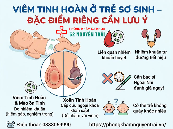 Viêm Tinh Hoàn Ở Trẻ Em Và Trẻ Sơ Sinh: Cha Mẹ Cần Biết 3 Viêm Tinh Hoàn Ở Trẻ Sơ Sinh – Đặc Điểm Riêng Cần Lưu Ý