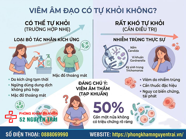 Viêm Âm Đạo Có Nguy Hiểm Không? Biến Chứng Cần Biết 1 Viêm âm đạo có tự khỏi không?