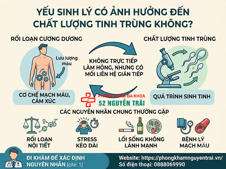Yếu sinh lý có con được không? Giải đáp từ bác sĩ 2 Yếu sinh lý có ảnh hưởng đến chất lượng tinh trùng không?
