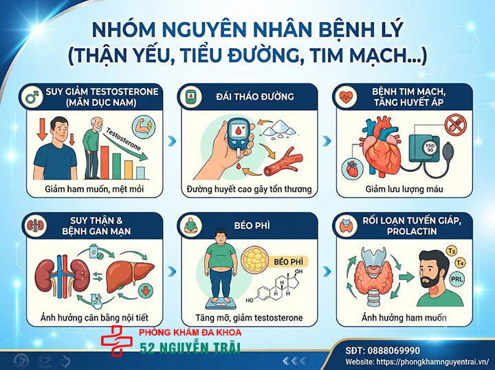 Nguyên nhân gây yếu sinh lý ở nam giới: Từ bệnh lý đến lối sống 1 nguyên nhân bệnh lý yếu sinh lý