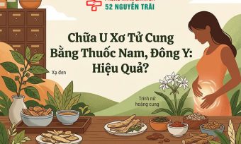 Chữa U Xơ Tử Cung Bằng Thuốc Nam, Đông Y: Hiệu Quả?