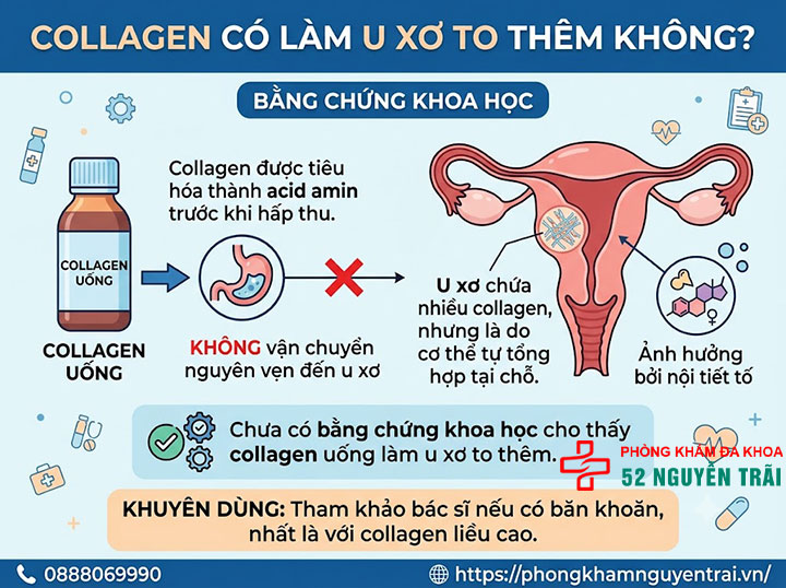 U Xơ Tử Cung Kiêng Ăn Gì, Nên Ăn Gì? Giải Đáp Chi Tiết 3 Collagen có làm u xơ to thêm không? Bằng chứng khoa học