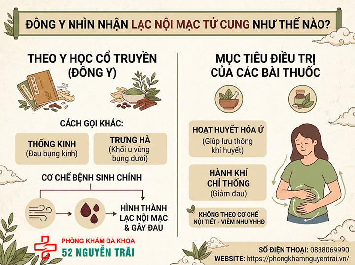 Chữa lạc nội mạc tử cung bằng đông y có hiệu quả không? 2 Đông y nhìn nhận lạc nội mạc tử cung như thế nào?