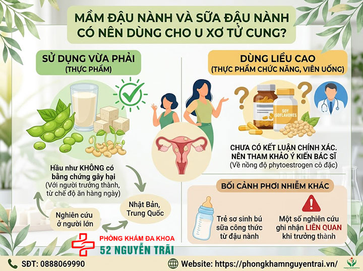 U Xơ Tử Cung Kiêng Ăn Gì, Nên Ăn Gì? Giải Đáp Chi Tiết 4 Mầm đậu nành và sữa đậu nành có nên dùng cho u xơ tử cung