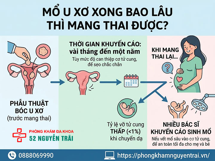 U Xơ Tử Cung Khi Mang Thai Có Nguy Hiểm Không? 6 Mổ u xơ xong bao lâu thì mang thai được?