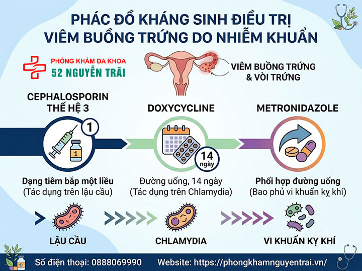 Điều Trị Viêm Buồng Trứng: Kháng Sinh Và Phác Đồ 2 Phác đồ kháng sinh điều trị viêm buồng trứng do nhiễm khuẩn