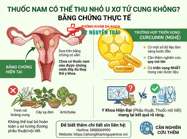 Chữa U Xơ Tử Cung Bằng Thuốc Nam, Đông Y: Hiệu Quả? 4 Thuốc nam có thể thu nhỏ u xơ tử cung không? Bằng chứng thực tế
