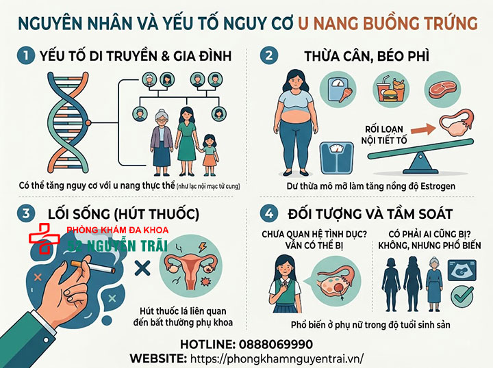 Nguyên nhân u nang buồng trứng và các yếu tố nguy cơ 4 nguyên nhân và yếu tố nguy cơ u nang buồng trứng